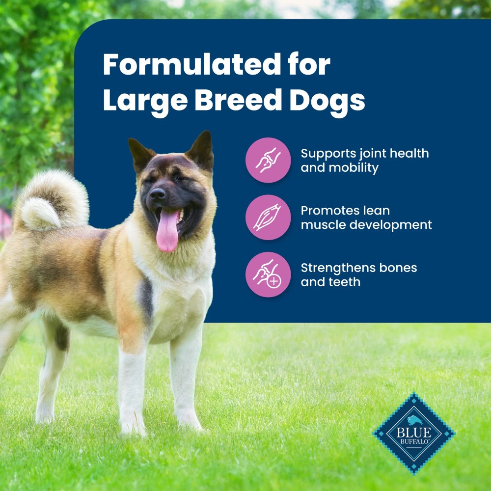 Blue Buffalo Life Protection Formula Large Breed Dry Dog Food, Lamb & Rice, 30-lb. Bag - Image 4