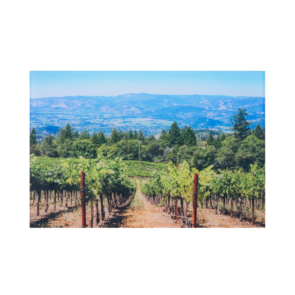 20" x 30" Personalized Acrylic Photo Print - Image 3