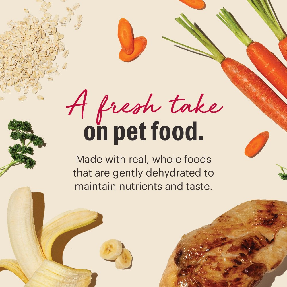 The Honest Kitchen Revel Chicken Ground Dry Dog Food, 10 lb. Box - Image 5