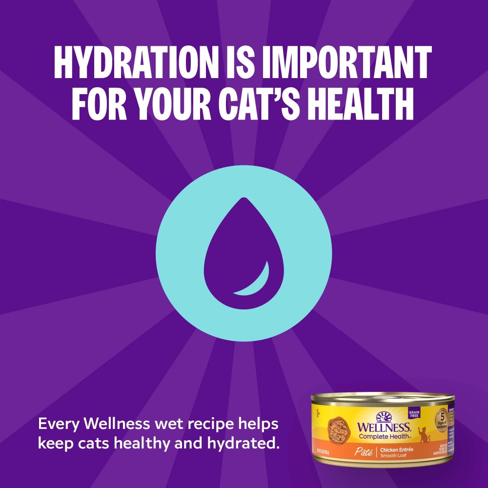 Wellness Complete Health Pate Adult Wet Cat Food, Natural, Protein-Rich, Grain Free, 12.5 Ounce, 12 Pack, (Beef & Chicken) - Image 2