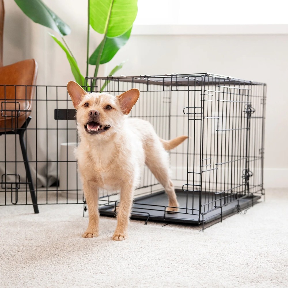 Carlson Secure Compact Double Door Metal Dog Crate, Medium Breeds Up to 45 Pounds, 30"L x 19"W x 22"H, Includes Divider Panel, Black - Image 6