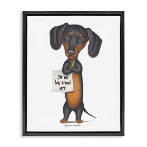 Stupell Industries Dachshund 'I'm The Boss' Fun Family Pet Phrase Jet Black Framed Floating Canvas Wall Art, 1620, by Danny Gordan