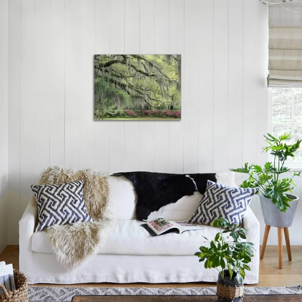 Live Oak Tree Draped with Spanish Moss, Savannah, Georgia, USA, Botanical Stretched Canvas Wall Art by Adam Jones Sold by Art.Com - Image 5