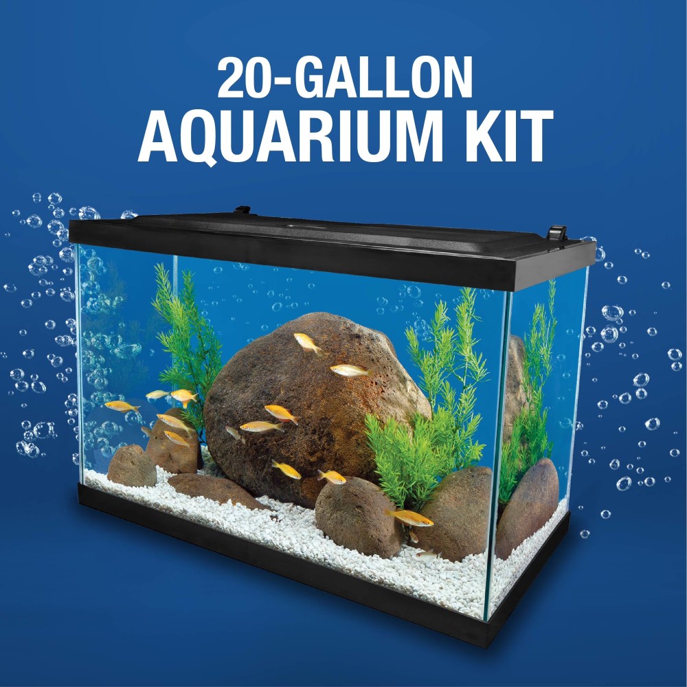 Tetra Aquarium, 20 Gallon, Complete Tropical Fish Tank Kit with LED Lighting and Decor for Freshwater Fish - Image 6