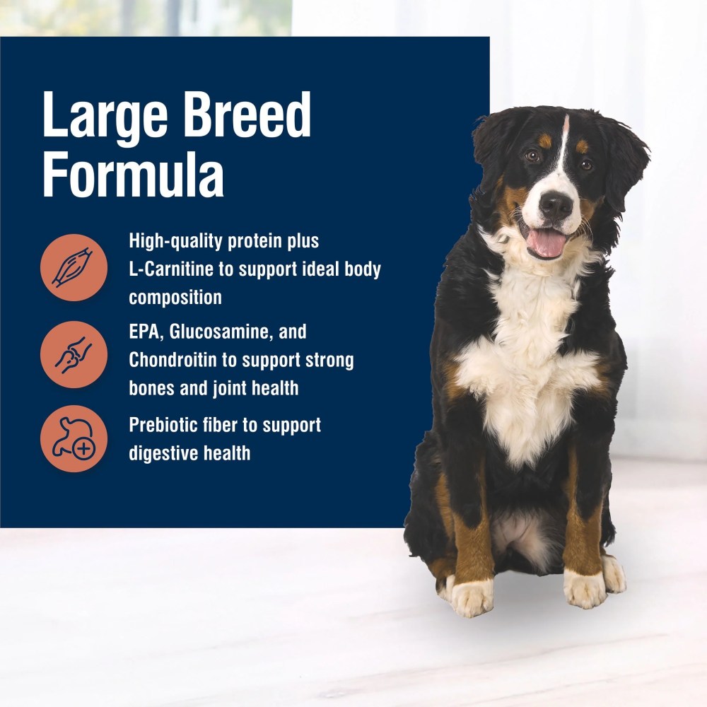 Blue Buffalo True Solutions Large Breed Care Natural Dry Dog Food, Chicken, 24-lb. Bag - Image 5