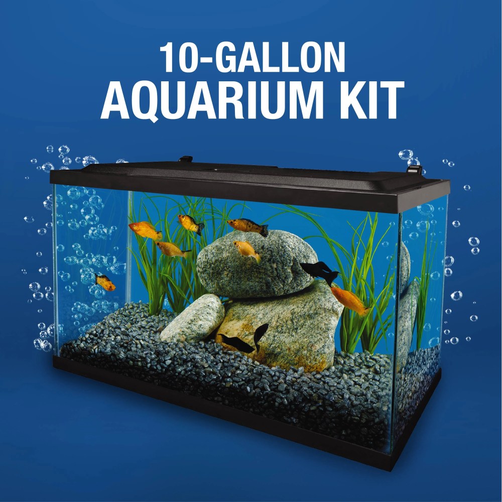 Tetra 10 Gallon Glass LED Aquarium Kit - Image 8
