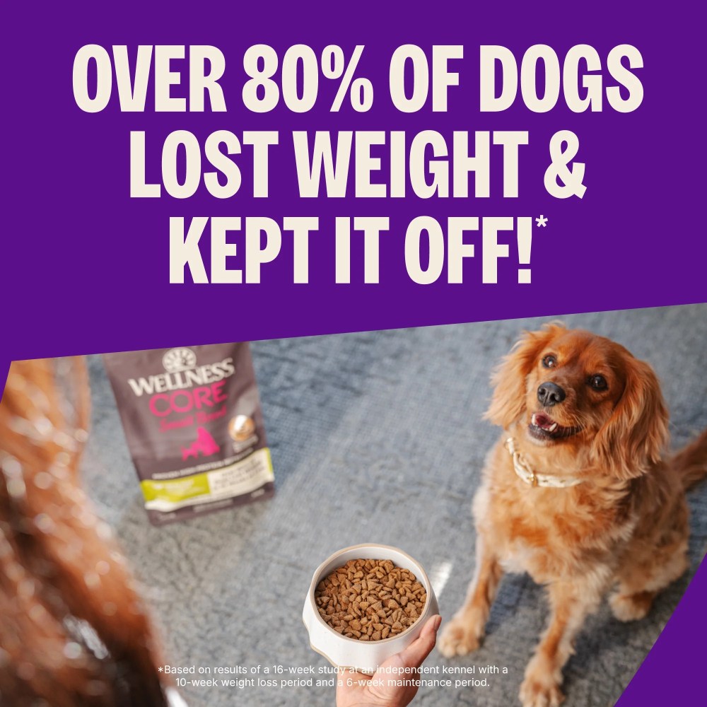 Wellness CORE Dry Dog Food, Small Breed, Grain Free, High Protein, Natural, Healthy Weight Turkey & Chicken Recipe, (12-Pound Bag) - Image 4