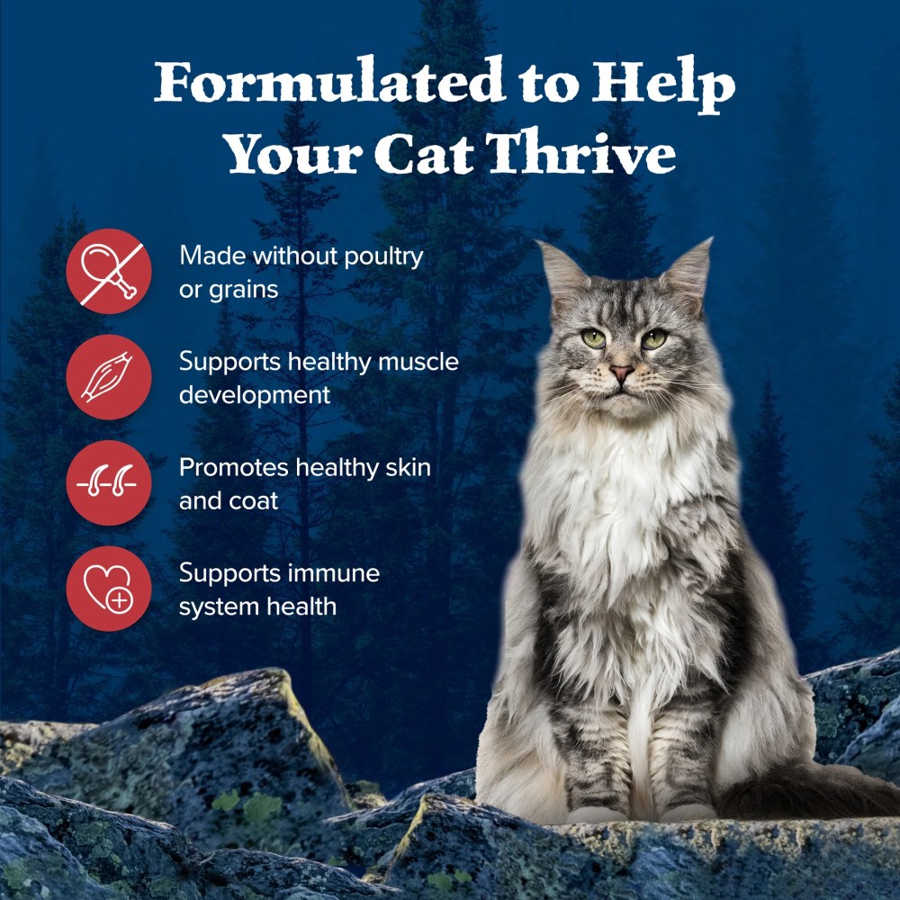 Blue Buffalo Wilderness Natural Dry Cat Food, Rocky Mountain Recipe, Red Meat, 10-lb. Bag - Image 7