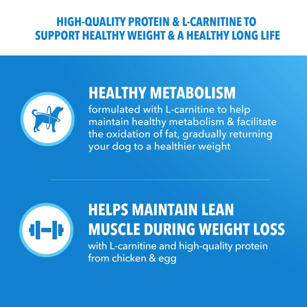 IAMS Proactive Health Dry Dog Food for Large Dogs Healthy Weight 29.1 lb Bag - Image 2