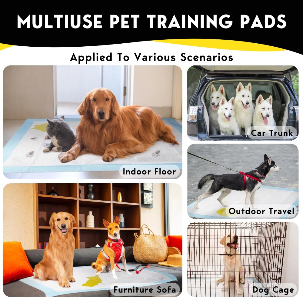 Tolobeve Dog Training Pads, XXL, 30 in x 36 in, 100 Count Disposable Dog Puppy Pee Pads - Image 7