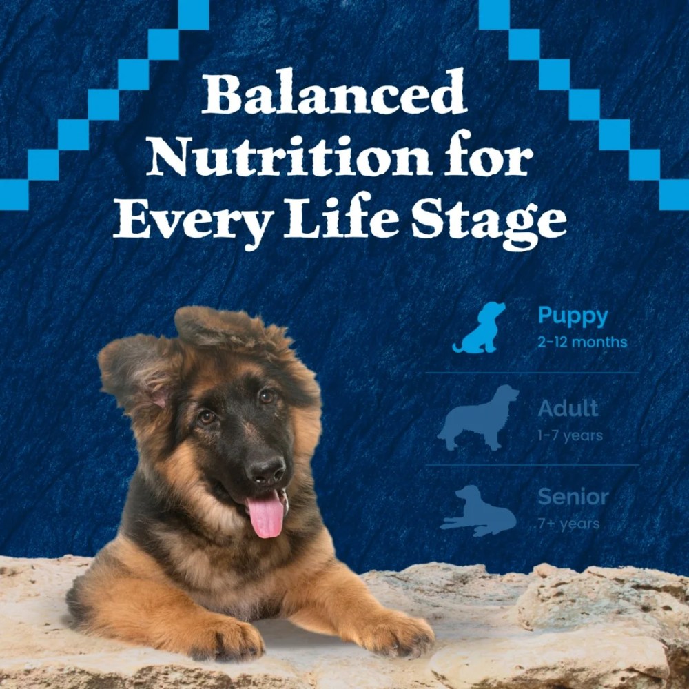 Blue Buffalo Wilderness High-Protein Grain-Free, Puppy Dry Dog Food, Chicken, 24-lb Bag - Image 2