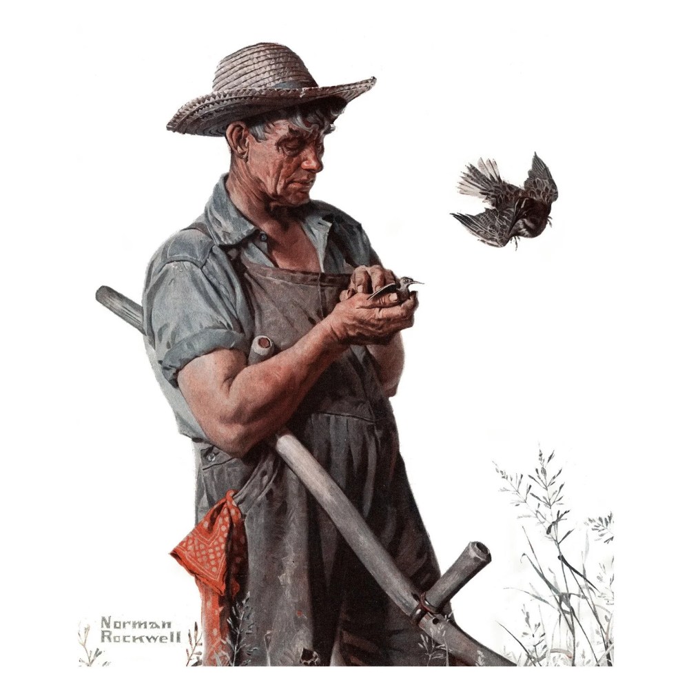 Marmont Hill Farmer and the Bird Wall Art