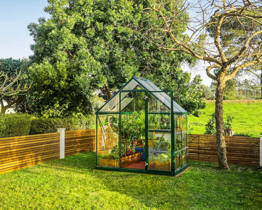 Palram - Canopia Hybrid 6" x 4" Polycarbonate/Aluminum Walk-In Greenhouse-Green - with Roof Vent - Image 12