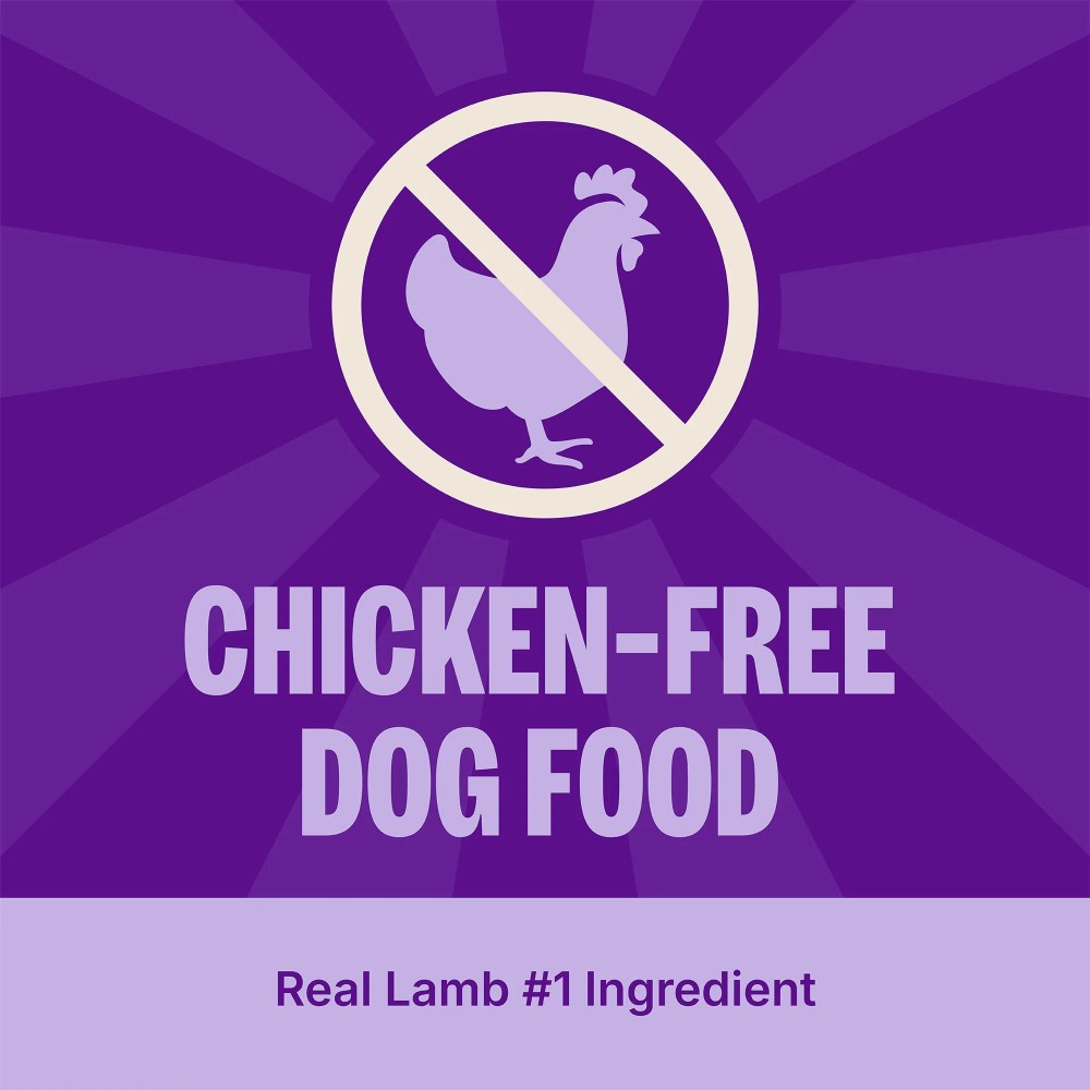Wellness CORE Dry Dog Food, Grain Free, High Protein, Natural, Lamb Recipe, (22-Pound Bag) - Image 5
