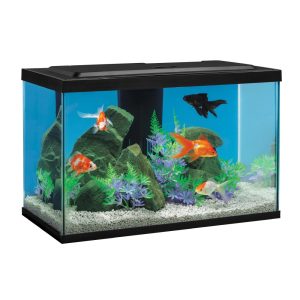 Tetra Complete LED Aquarium Kit for Goldfish,  20 Gallons,  Includes White and Red LED Lights,  Filter and Accessories