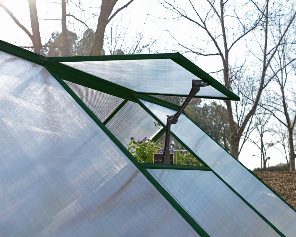 Palram - Canopia Hybrid 6" x 4" Polycarbonate/Aluminum Walk-In Greenhouse-Green - with Roof Vent - Image 6