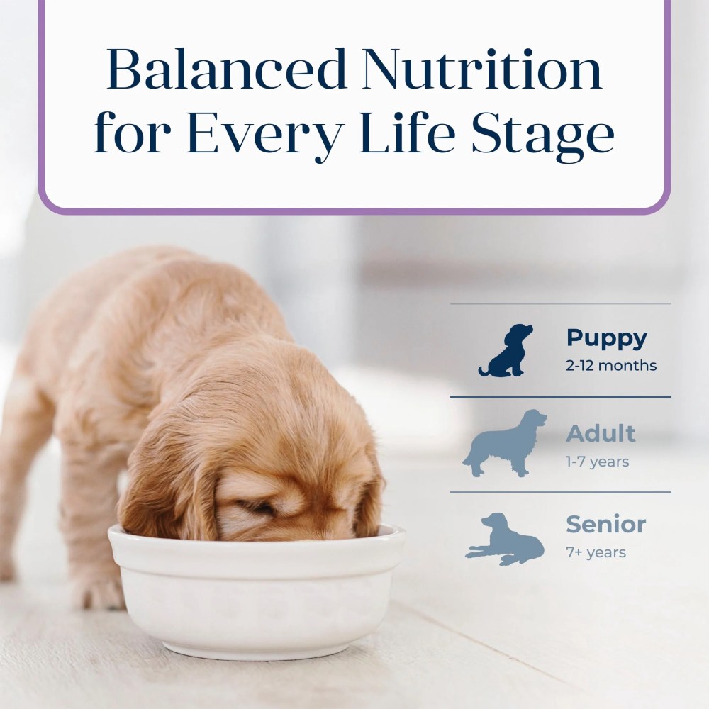 Blue Buffalo Basics Puppy Dry Dog Food, Limited Ingredient, Turkey, Chicken Free, 24lbs - Image 6