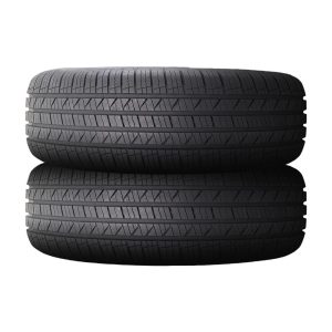 Set of 2 Leao Lion Sport HP3 P205/55R16 91H Tires