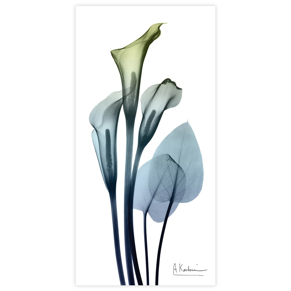 Empire Art Direct Calia Lily Frameless Free Floating Tempered Glass Panel Graphic Flower Wall Art, 24" x 48" x 0.2", Ready to Hang - Image 5