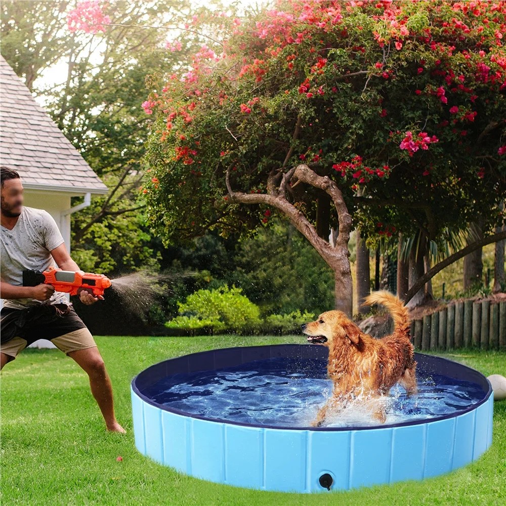 Alden Design 63" Foldable Pet Swimming Pool for Indoor and Outdoor, Blue - Image 3
