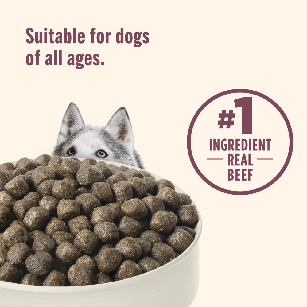 Nutrish High Protein Beef, Potato & Peas Recipe with Venison & Lamb Dry Dog Food, 23 lb. Bag (Rachael Ray) - Image 7