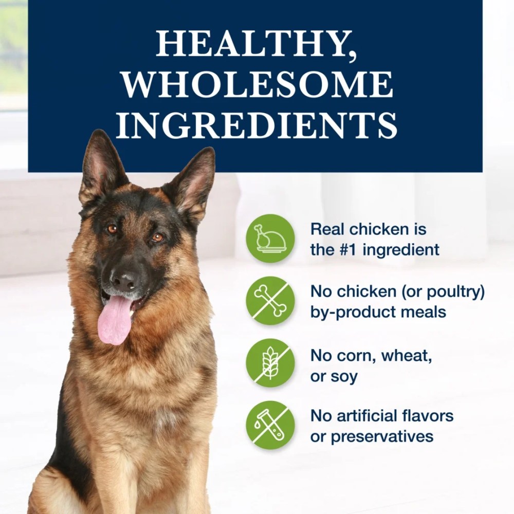 Blue Buffalo Natural Veterinary Diet GI Support Dry Dog Food, Chicken, 22-lb. Bag - Image 7