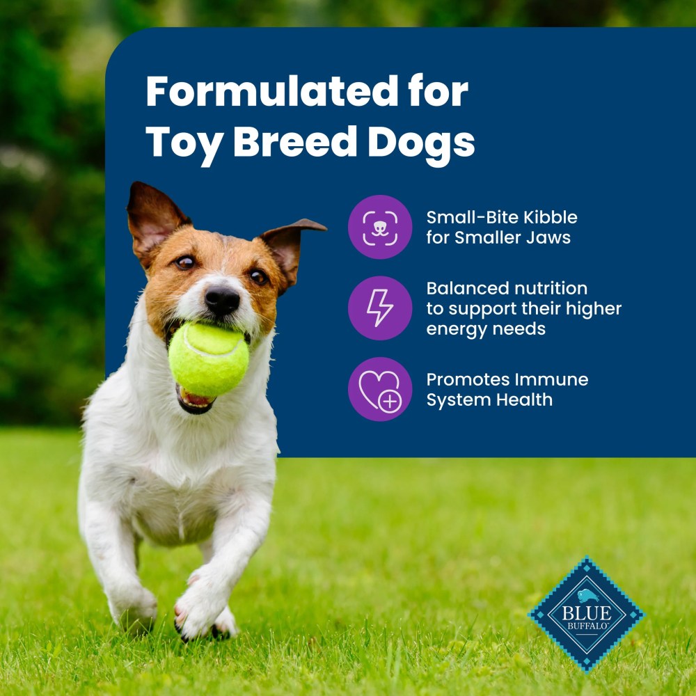 (5 pack) Blue Buffalo Life Protection Formula Toy Breed Dry Dog Food Chicken & Brown Rice 4 lbs. - Image 5