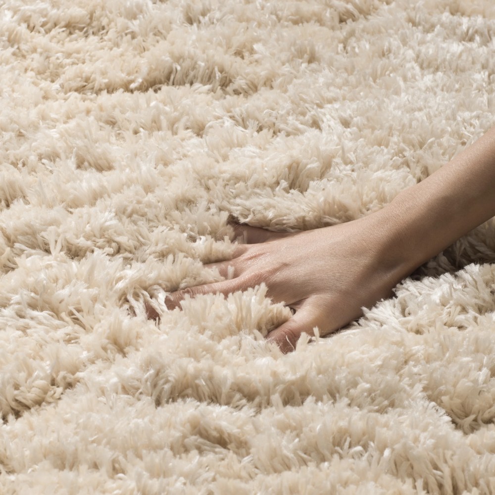 SAFAVIEH Polar Abbot Solid Shag Area Rug, Light Beige, 4" x 6" - Image 2