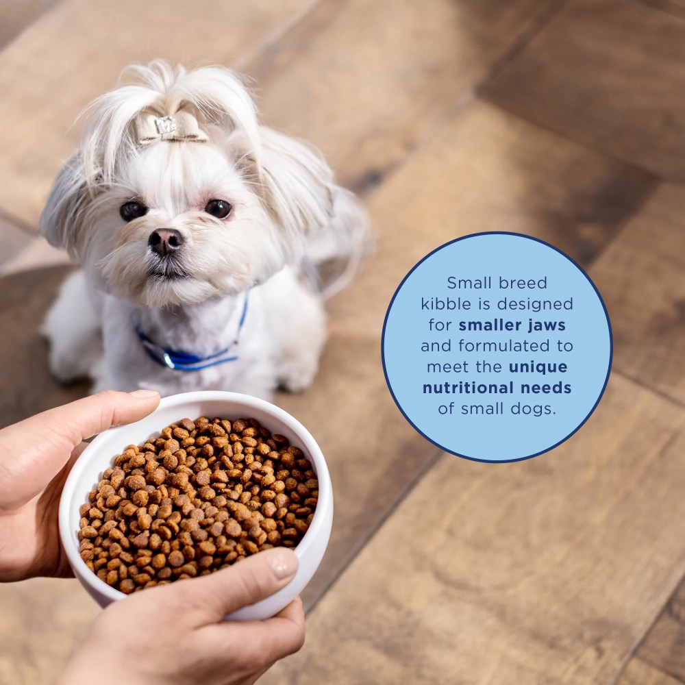 Natural Balance L.I.D. Limited Ingredient Diets Dry Dog Food, 12 Pounds, Lamb & Brown Rice Small Breed Formula - Image 3