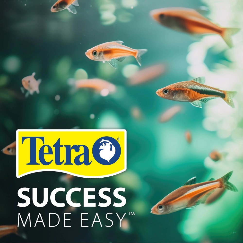 Tetra Aquarium, 20 Gallon, Complete Tropical Fish Tank Kit with LED Lighting and Decor for Freshwater Fish - Image 9