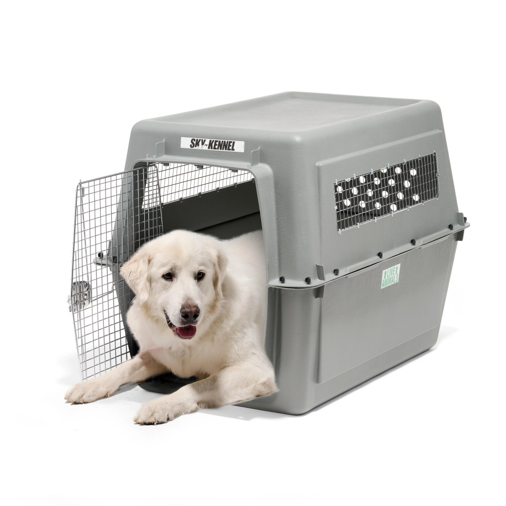 Petmate Sky Kennel for Dogs, IATA Approved, Plastic Travel Carrier, Gray, For Dogs 90-125 lbs, Jumbo Extra Extra Large, 48" x 32" x 48" - Image 10