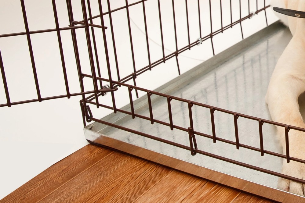 Tray for Dog Pet Crate Panel Tray Pet Kennel Tray Crate Pan Replacement - General Cage 24-inch Dog Crates Stainless Steel 35.5X23.25X1 - Image 4