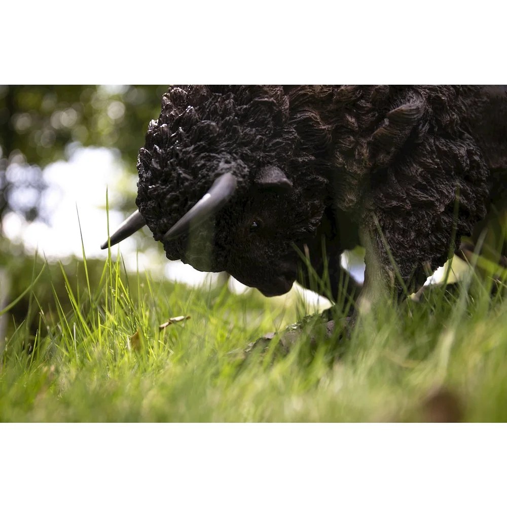 BISON HEAD DOWN - LARGE - Image 6
