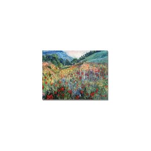 Trademark Fine Art Masters Fine Art Field of Wild Flowers Canvas Wall Art - 3047
