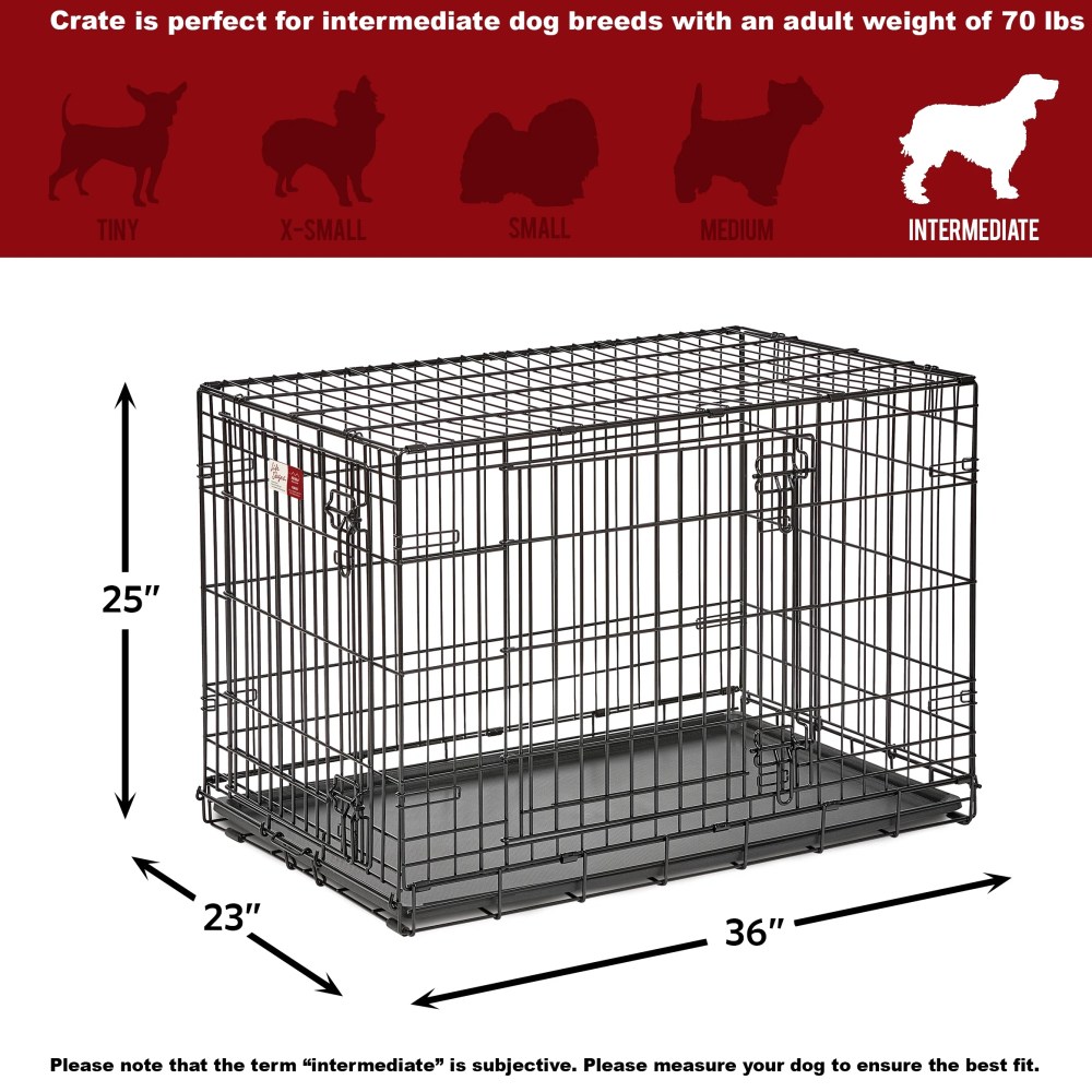 MidWest Homes for Pets 36-Inch LifeStages Crate for Medium-Large Breeds, 41-70 lbs, Double Door Folding Dog Crate with Divider Panel, Leak-Proof Tray & Secure Latch, Heavy-Duty & Easy to Assemble - Image 7