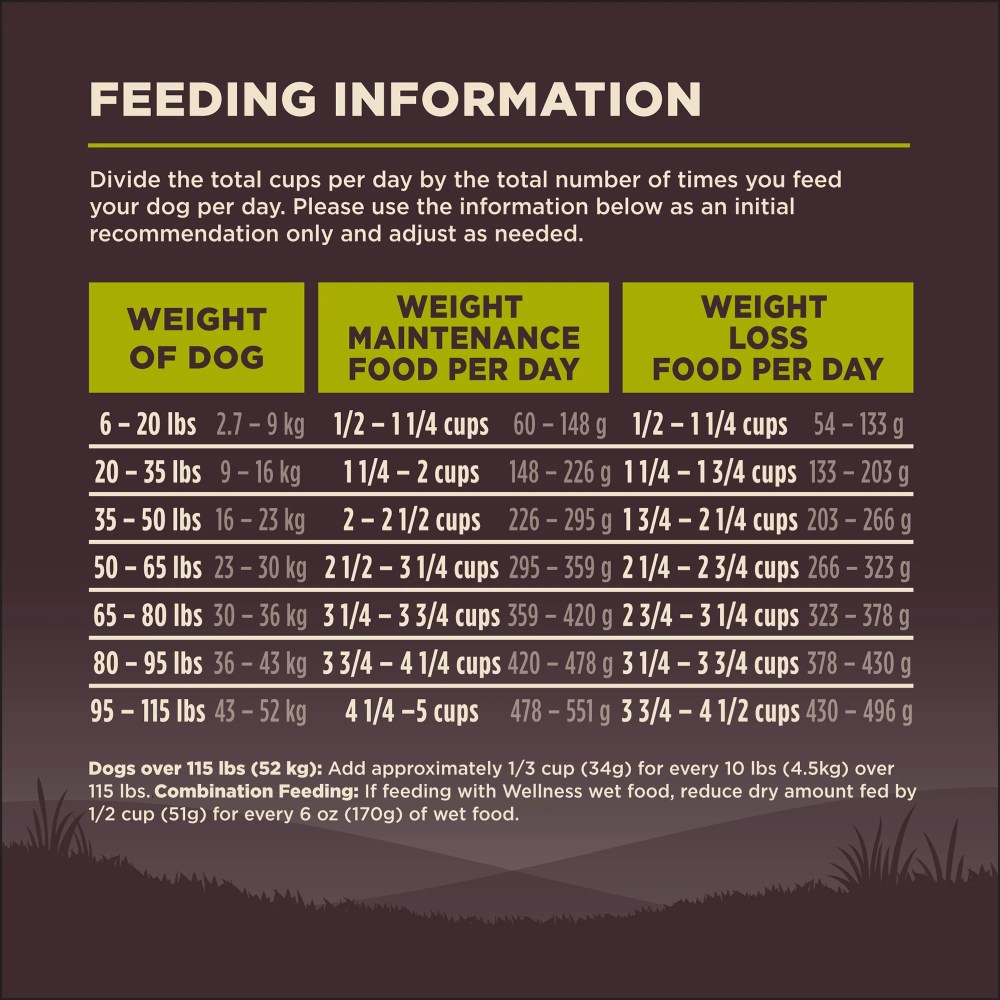 Wellness CORE Dry Dog Food, Grain Free, High Protein, Natural, Healthy Weight Turkey & Chicken Recipe, (26-Pound Bag) - Image 6