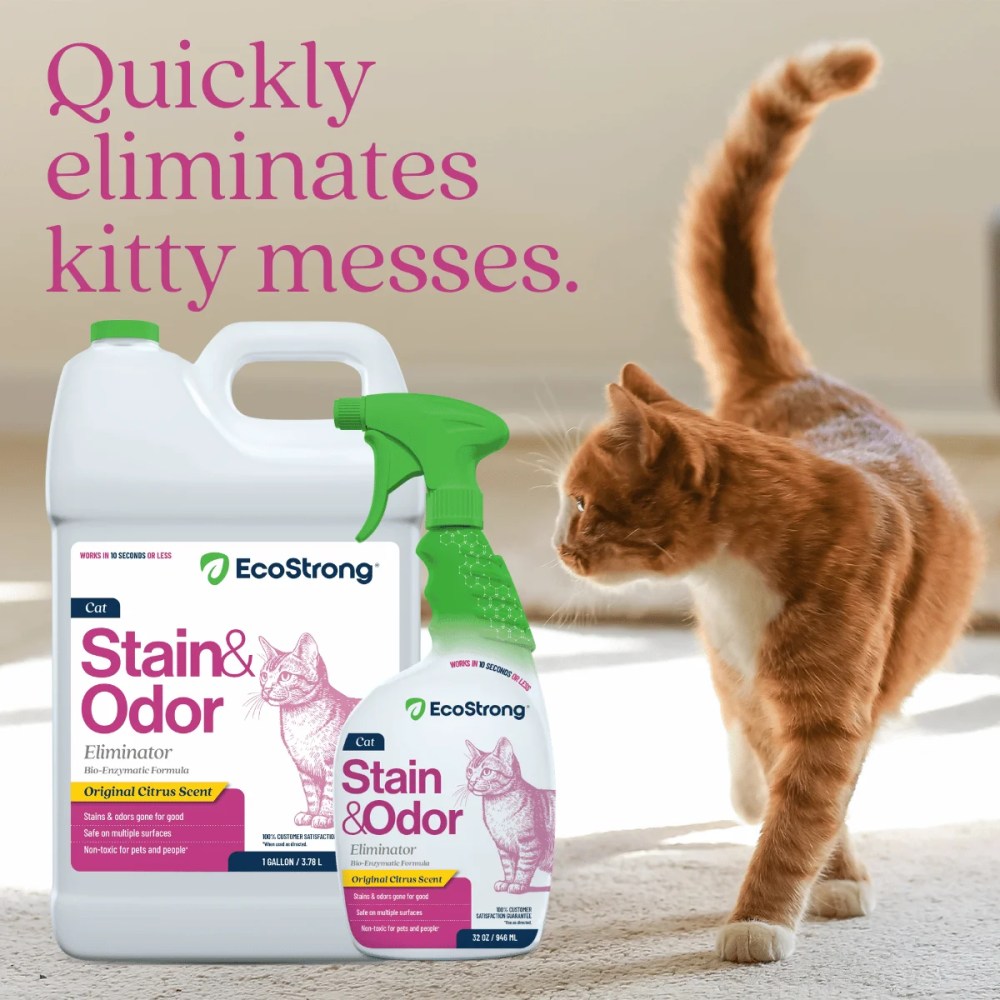 Cat Stain and Odor Remover: Enzyme Urine Odor Neutralizer - Stain Remover (32 oz and 1 Gallon) - Image 4