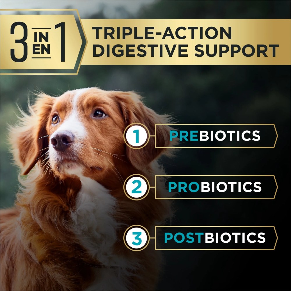 Purina Pro Plan AdvantEDGE Large Breed Digestive Support Plus Salmon and Oat Meal Formula Dry Dog Food, 12 lb Bag - Image 2