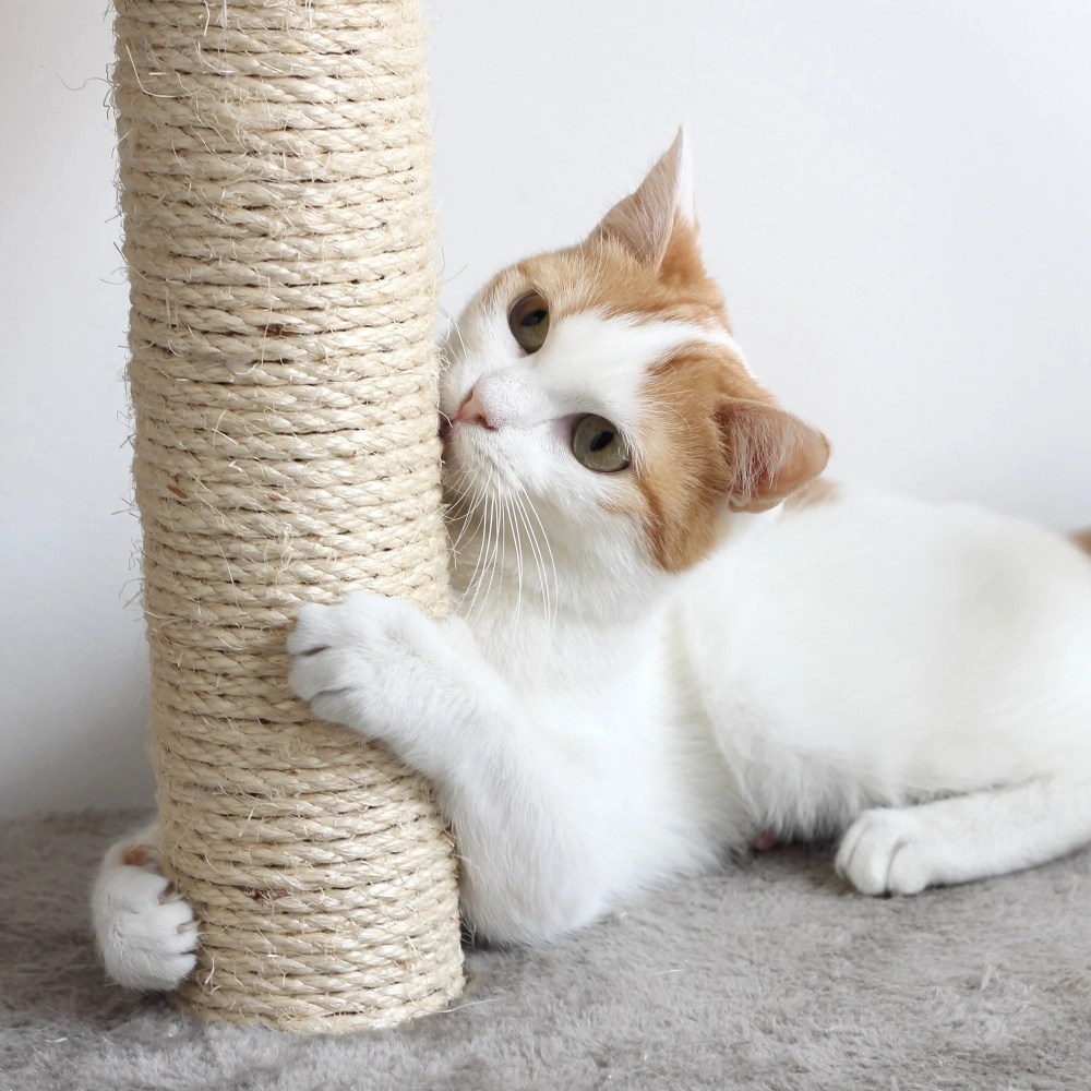 PETMAKER 45in Cat Tree with Perches, Condo, Scratch Posts, and Toys (Gray) - Image 6