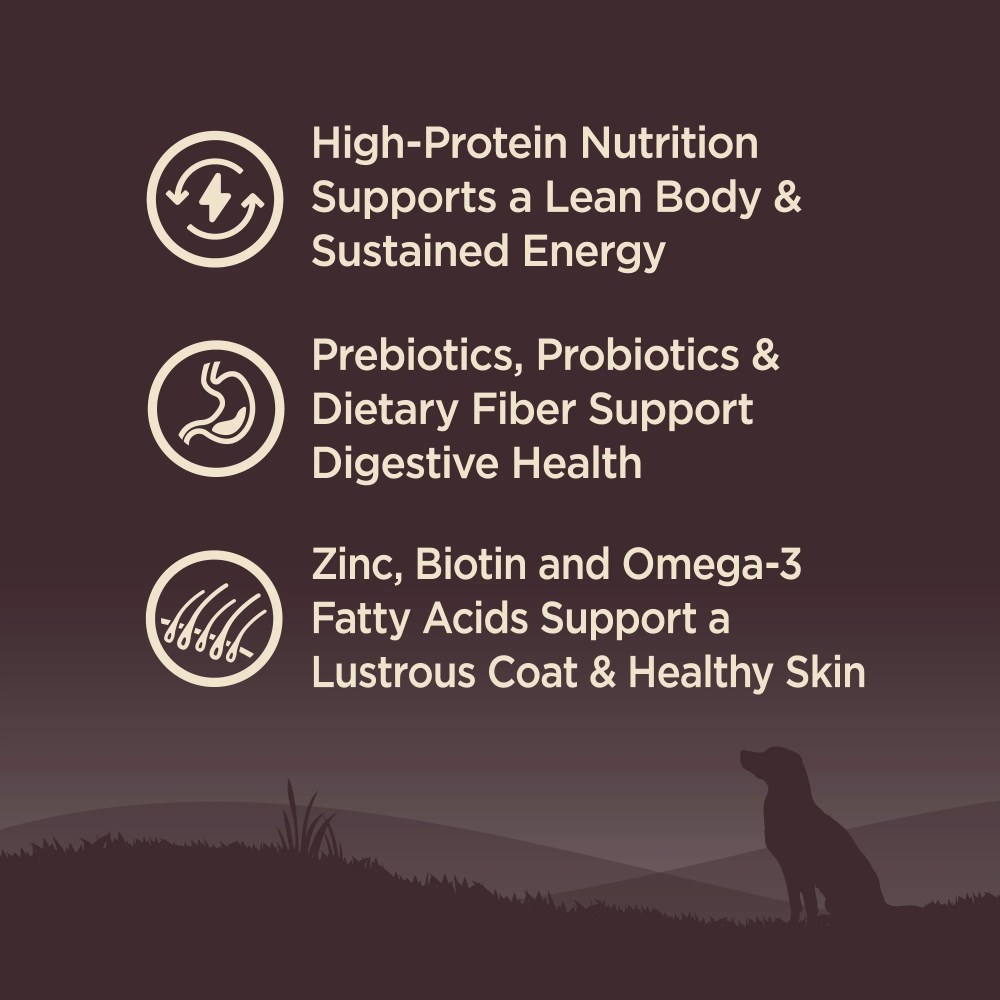 Wellness CORE Dry Dog Food, Grain Free, High Protein, Natural, Lamb Recipe, (22-Pound Bag) - Image 8