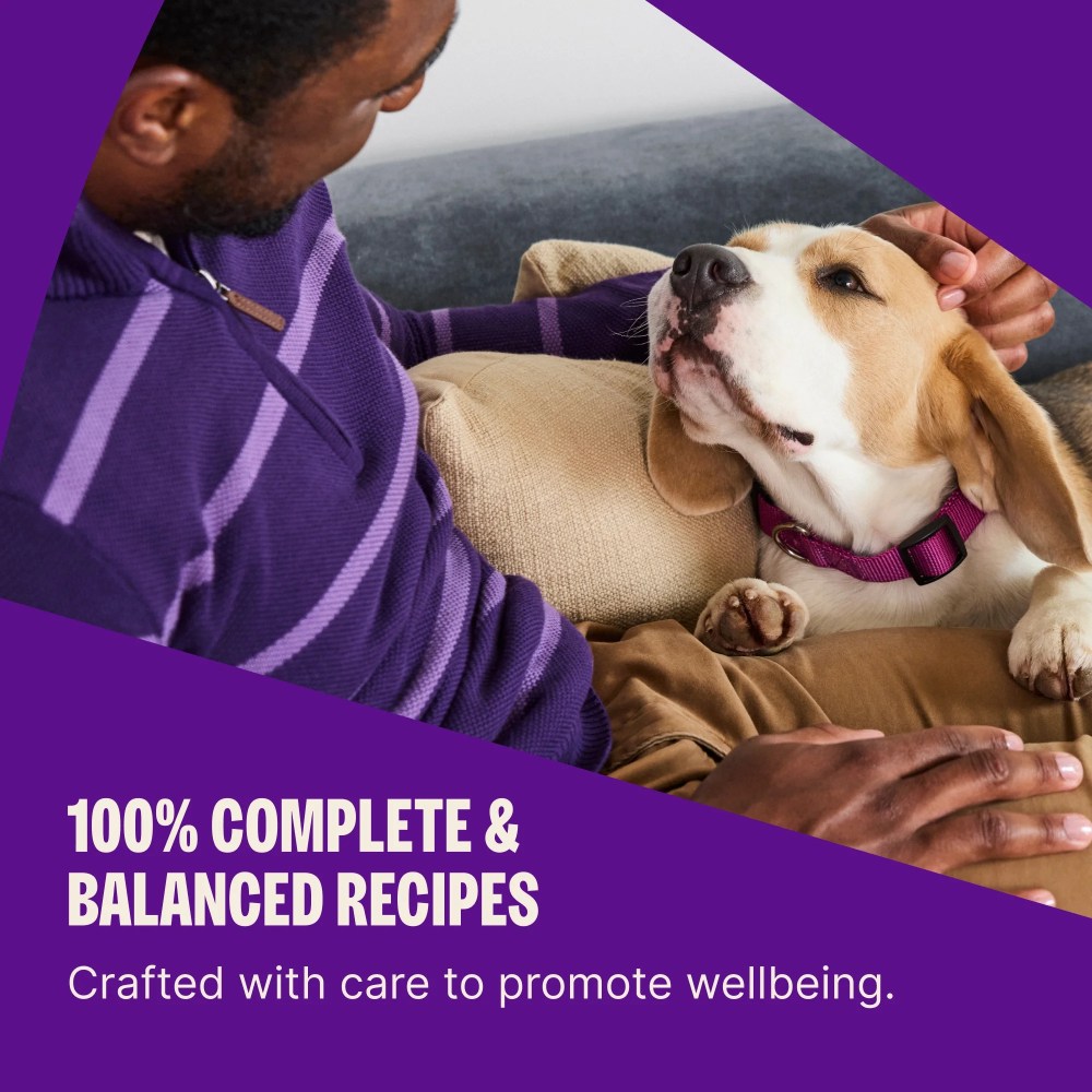 Wellness Complete Health Dry Dog Food, Grain Free, Natural, Lamb Recipe, (24-Pound Bag) - Image 3