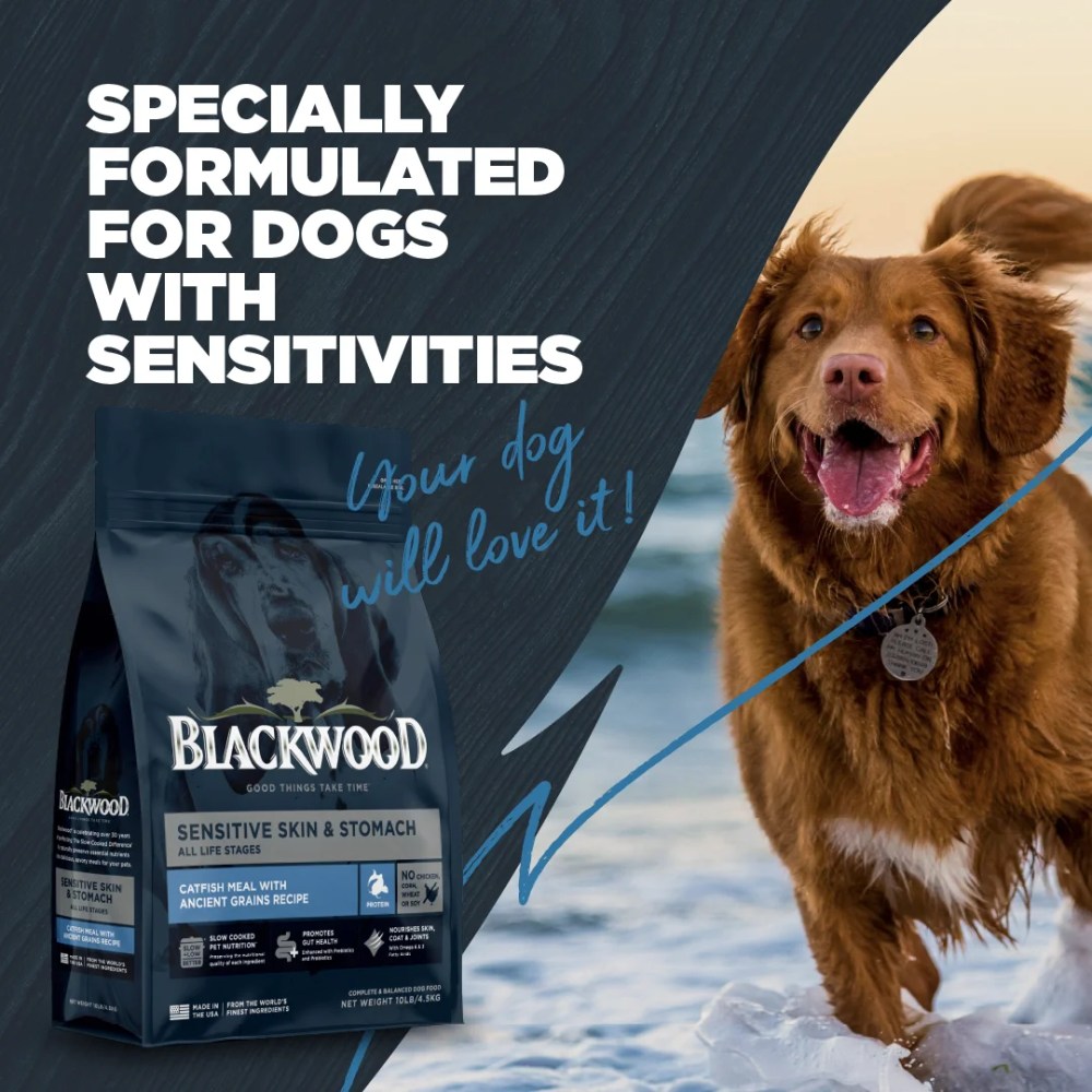 Blackwood Dry Dog Food for Sensitive Skin & Stomach, Catfish Meal with Ancient Grains, 24 lb - Image 6