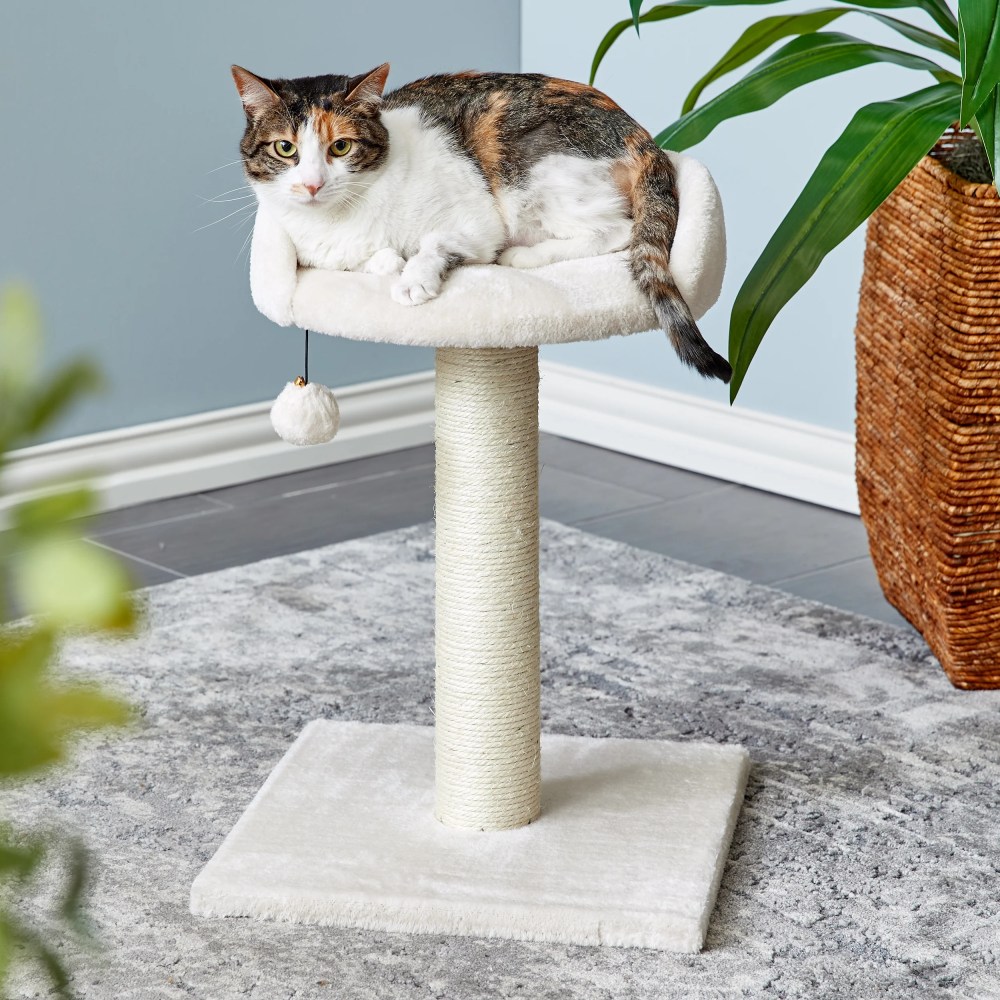Two by Two Milkwood Small Cat Tree and Scratching Post - Image 9