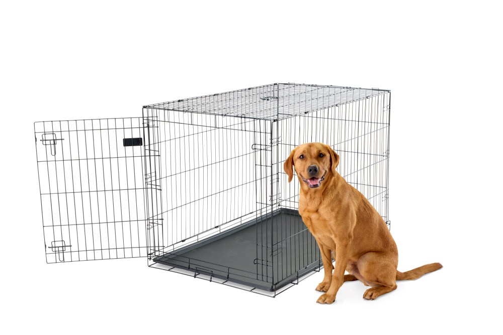 Carlson Pet Products Extra Large Secure Foldable Single Door Metal Dog Crate, Black
