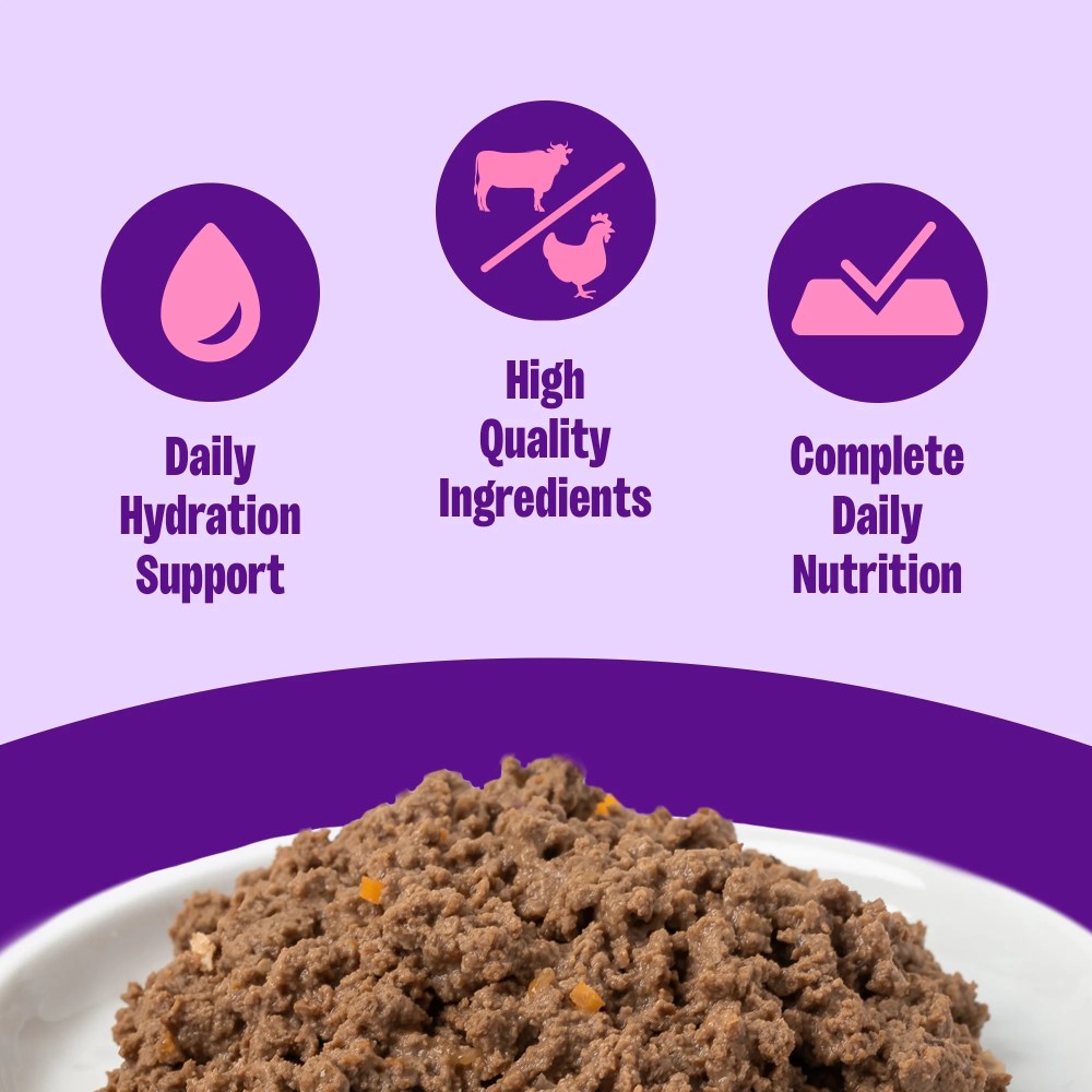 Wellness Complete Health Pate Adult Wet Cat Food, Natural, Protein-Rich, Grain Free, 12.5 Ounce, 12 Pack, (Beef & Chicken) - Image 7