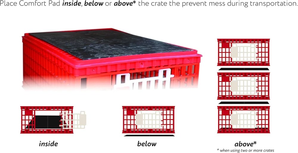 RentACoop Poultry Carrier Crate for Chickens, 29" x 22" x 12", New - Image 5