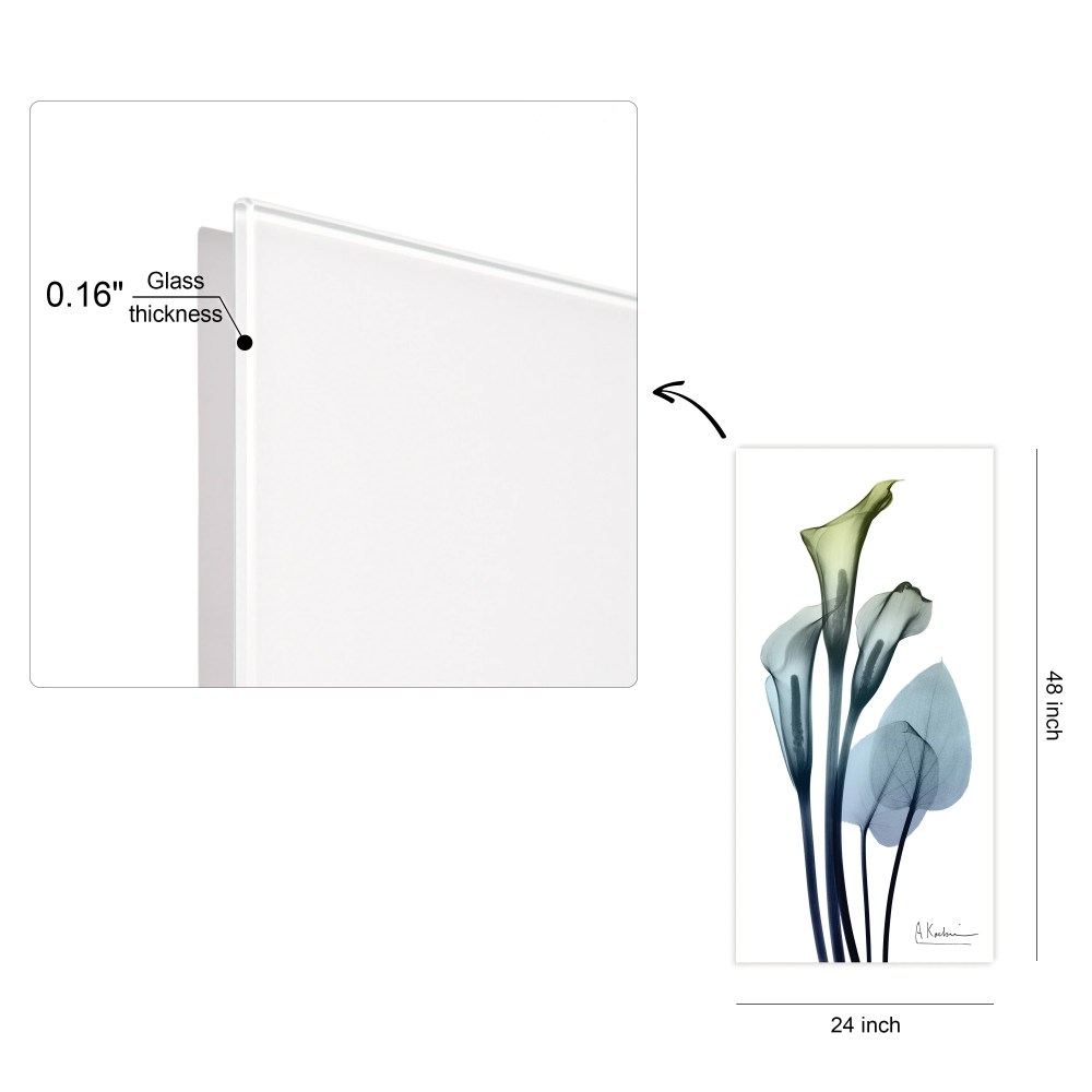 Empire Art Direct Calia Lily Frameless Free Floating Tempered Glass Panel Graphic Flower Wall Art, 24" x 48" x 0.2", Ready to Hang - Image 4