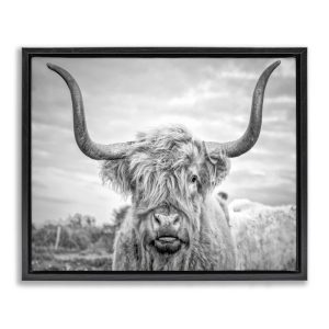 Stupell Industries Black and White Highland Cow Photograph Jet Black Framed Floating Canvas Wall Art, 1620, by Joe Reynolds