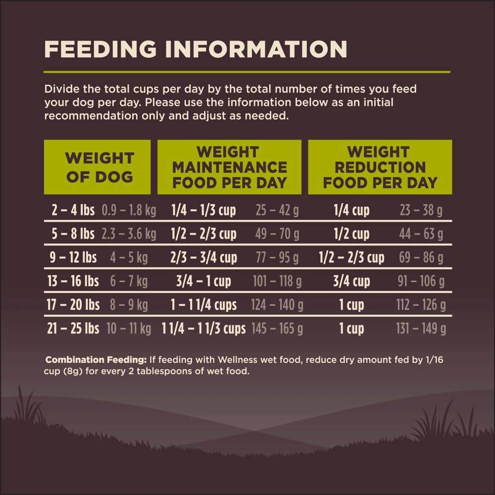 Wellness CORE Dry Dog Food, Small Breed, Grain Free, High Protein, Natural, Healthy Weight Turkey & Chicken Recipe, (12-Pound Bag) - Image 8