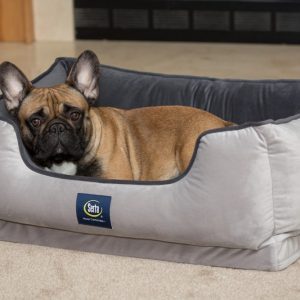 Serta Ortho Cuddler Pet Bed,  Large